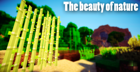 [FullHD] The beauty of nature