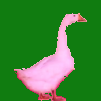 Аватар Розовый Гусь
