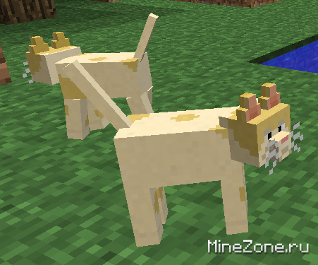 БОЛЬШЕ СУЩЕСТВ!