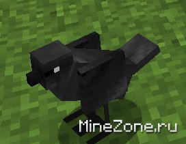 БОЛЬШЕ СУЩЕСТВ!