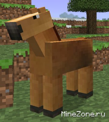 БОЛЬШЕ СУЩЕСТВ!