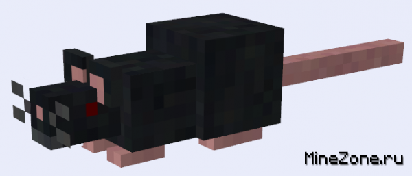 БОЛЬШЕ СУЩЕСТВ!