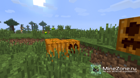 Красивые сиды!