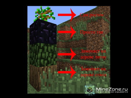 [1.0.0][SMP][SSP] HUGE TREES ARE HUGE