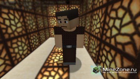 [64x64][1.0.0] Soartex Fanver