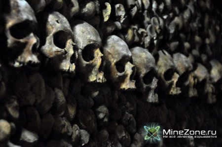 Семеро выживших...