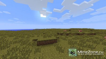 [1.1] [SSP & SMP] ExtraBiomes V1.41