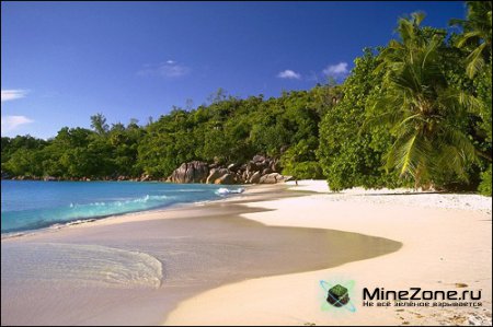 Семеро выживших...