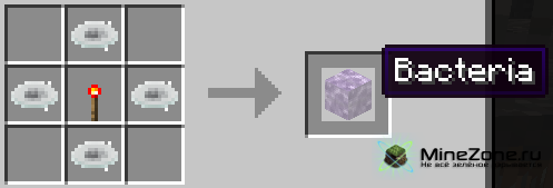 [1.2.4] Bacteria v1.11