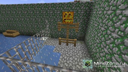 Зона в minecrafte.