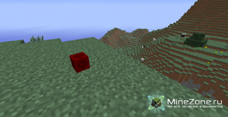 [1.2.5] [SSP/SMP] QuidCraft Quidditch Mod!