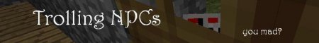 [1.2.3] Trolling NPCs