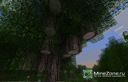 [128X][1.2.4] Picture Perfect