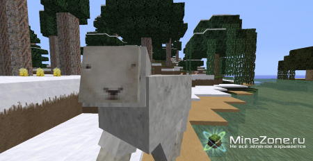 [256X,128X,64X] [1.2.4] KDS HD Realistic v4