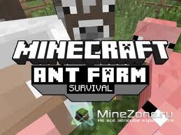 Ant Farm (Survinal)