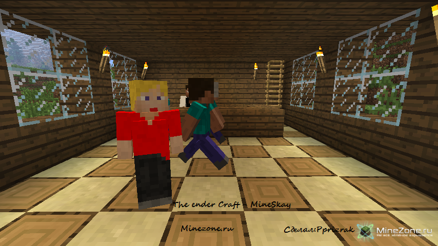 The ender craft - MineSkay