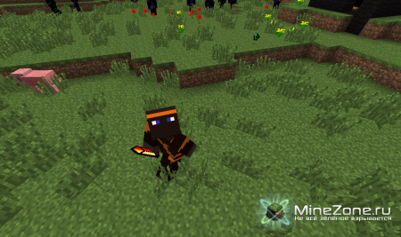 [1.2.5] Ninjas