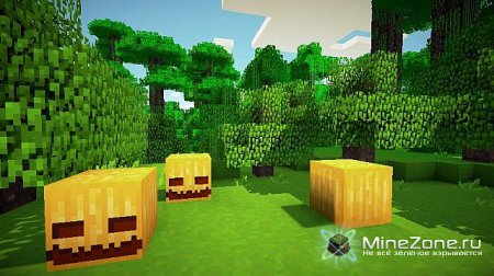 [1.2.5] [16x] Sexy Pixels