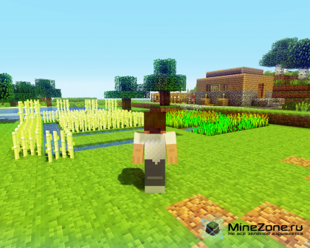 [1.2.5] [64x] Traditional Beauty