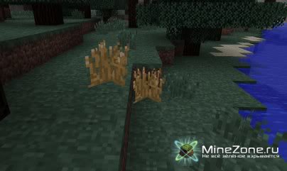 [1.2.5] Beer & Wine Mod v1.2_01