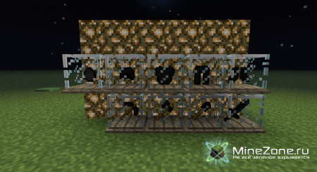 [1.2.5] EvilMinecraft V0.666