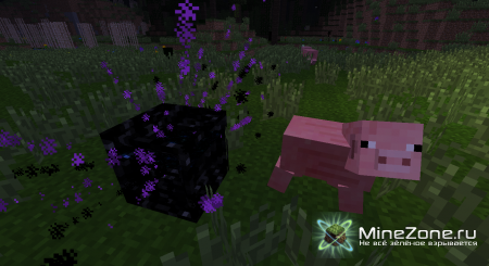 [1.2.5] EvilMinecraft V0.666