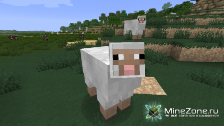 Afternoon Textures 64x