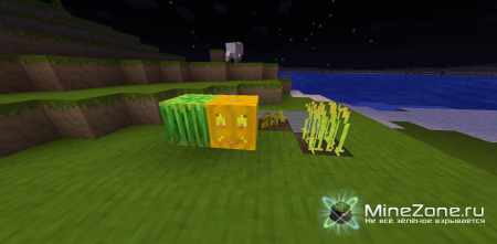 [1.2.5] [16X] BOBO'S BEAUTY