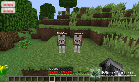 Black Server - Опрос