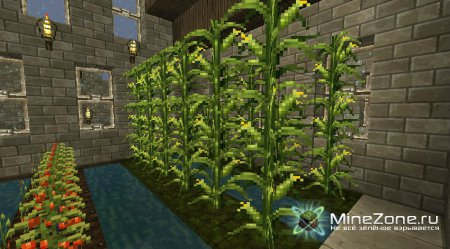 [1.3.1][32X] THE END IS EXTREMELY NIGH