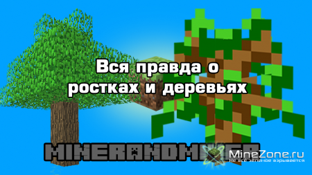 Вся правда о ростках и деревьях[MineCraft Scetch]