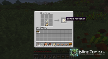 [1.3.2]Pepper & Salt mod