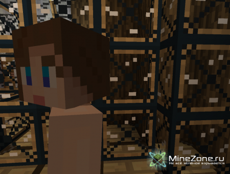 [1.3.2] Villager Changer v1.1