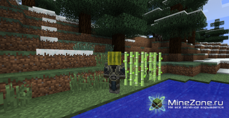 [1.3.2] Hats Mod - Wear Any Block On Your Head!