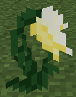 [1.3.2]TooManyPlants