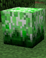 [1.3.2]TooManyPlants