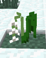 [1.3.2]TooManyPlants