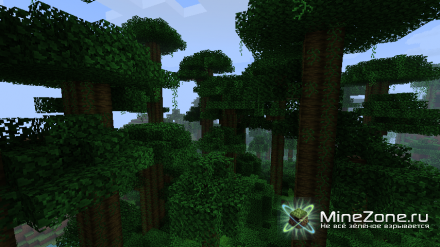 [1.3.2][16x]FEATHERSONG