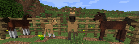 [1.4.2][SSP/SMP]Simply Horses
