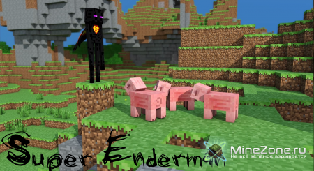 The Super Enderman (Animation)