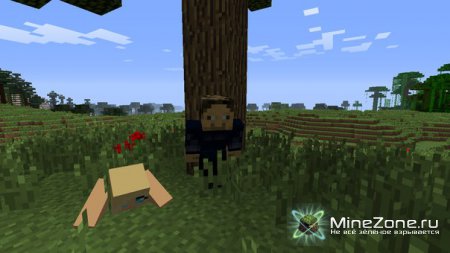 Minecraft: Девушки