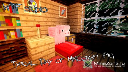 Typical Day of Minecraft Pig
