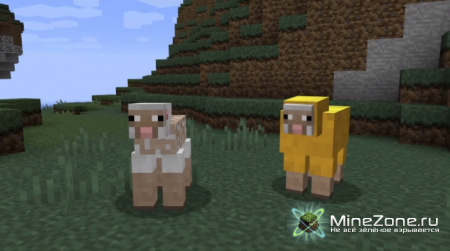 Если бы Овцы Могли Говорить