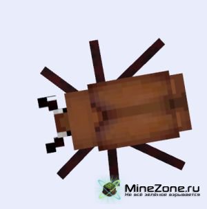 [1.4.7] The Erebus, dimension of the arthropods