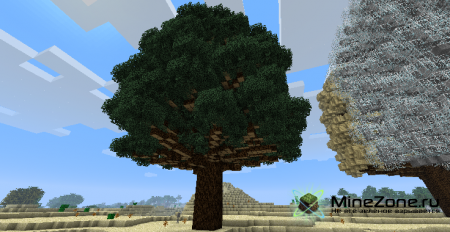 [1.4.7] Huge Trees are Huge!