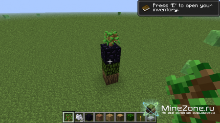 [1.4.7] Huge Trees are Huge!