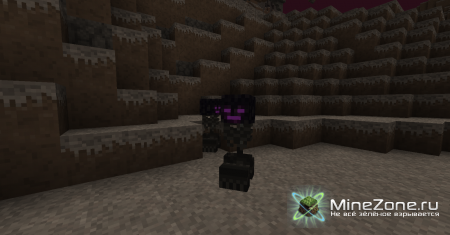 [1.4.7] Corrupted Dimension