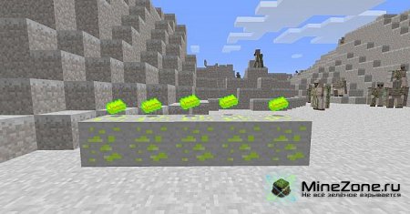 [1.4.7] Iron Dimension