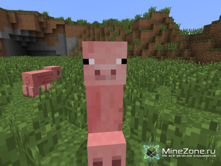 [1.5] Creeper Species