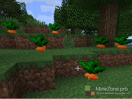 [1.5.2][FORGE]TOROJIMA'S CHOCOCRAFT 2.8.2 - EXPLORE YOUR WORLDS RIDING CHOCOBOS